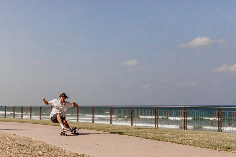 Z-FLEX スケートボード 31インチ Surf-a-gogoコンプリート サーフスケートフィッシュ-Z-FLEX SKATEBOARDS JAPAN OFFICIAL【公式通販】