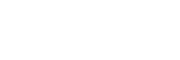 Z-FLEX SKATEBOARDS JAPAN OFFICIAL【公式通販】